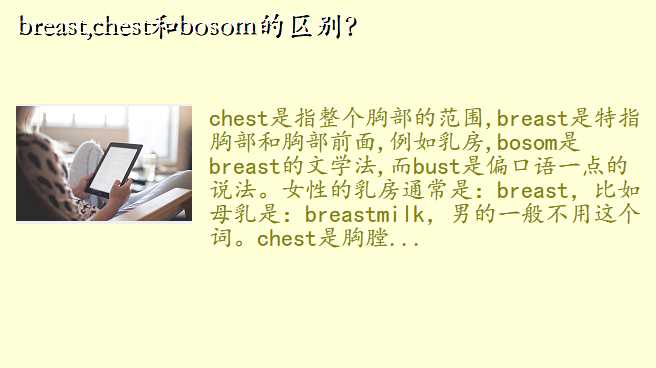 breast,chestbosom